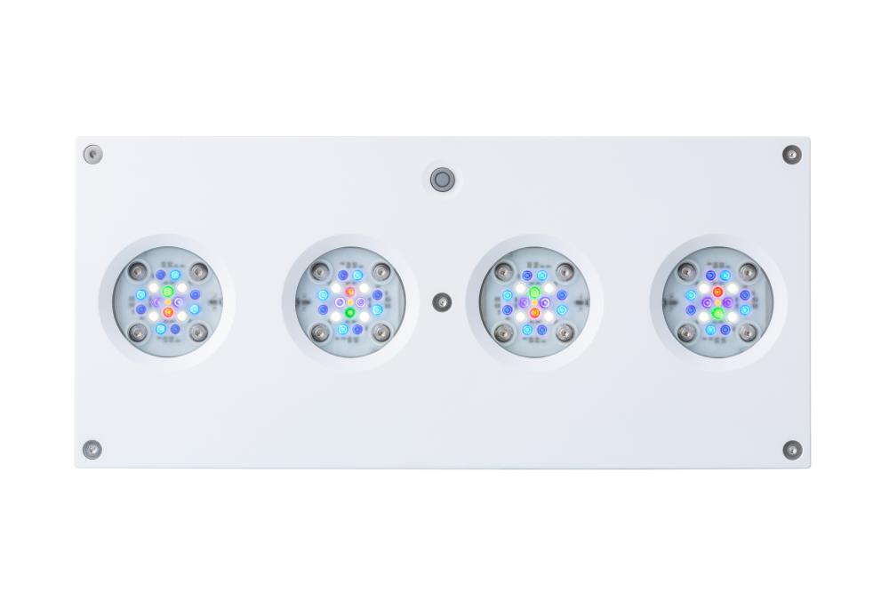 AI Hydra HD 64 LED weiß