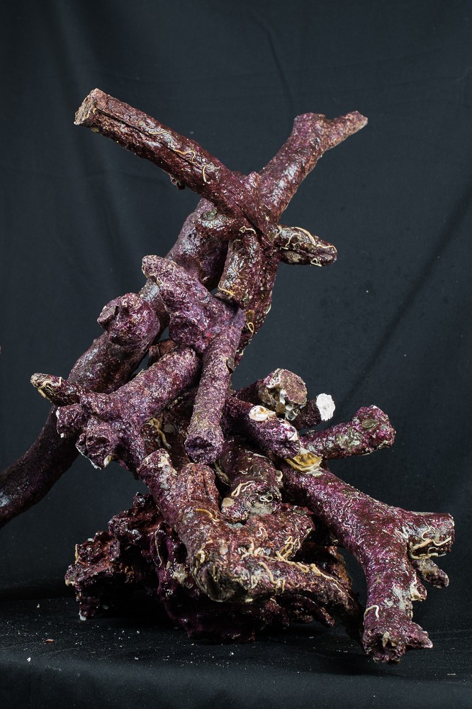 Real Reef Rock Branched 16 kg Box