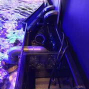 D-D Reef-Pro1200 Anthracite - Aquariumsystem